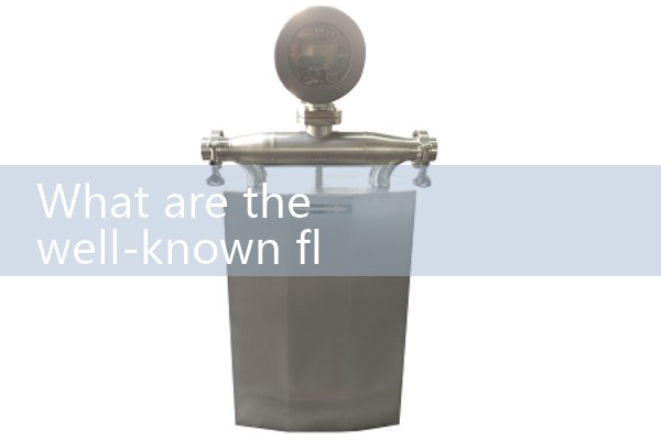 Supply by Inner Mongolia quality flowmeter manufacturer